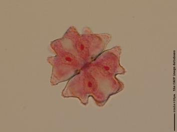 S059a.jpg