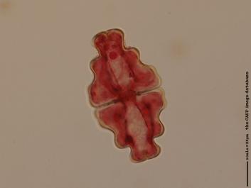 S061a.jpg