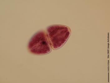 S068b.JPG