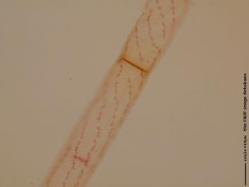 S069.JPG