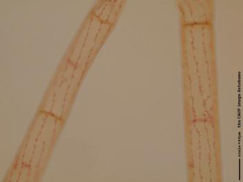 S069a.JPG