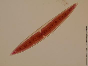 S073a.JPG