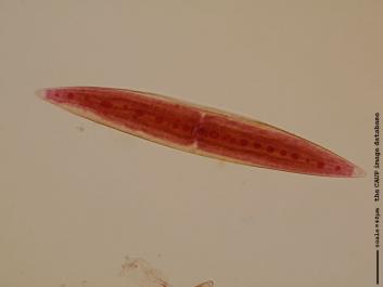 S073b.JPG