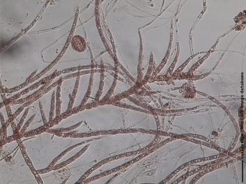 U008b.JPG
