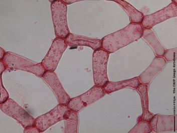 U011a.JPG