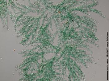 U028.JPG