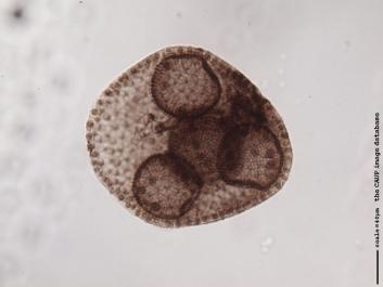 U030a.JPG