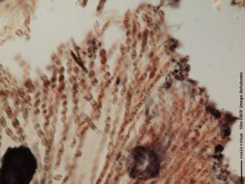U044.JPG