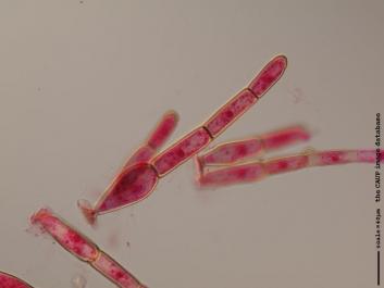 U046a.JPG
