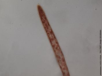 U048.JPG