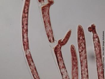 U048b.JPG