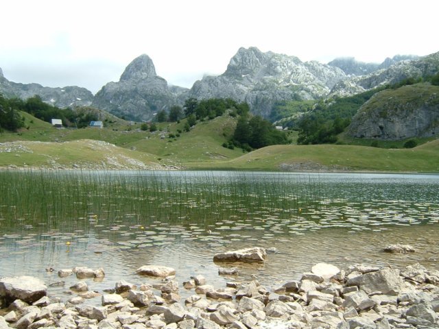photo18.jpg