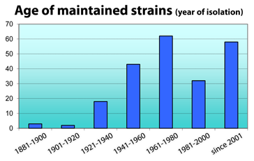 age of maintained strains