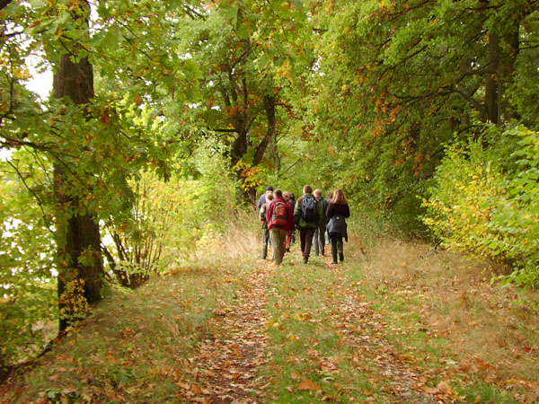 luznice_03_28