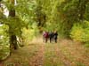 luznice_03_28