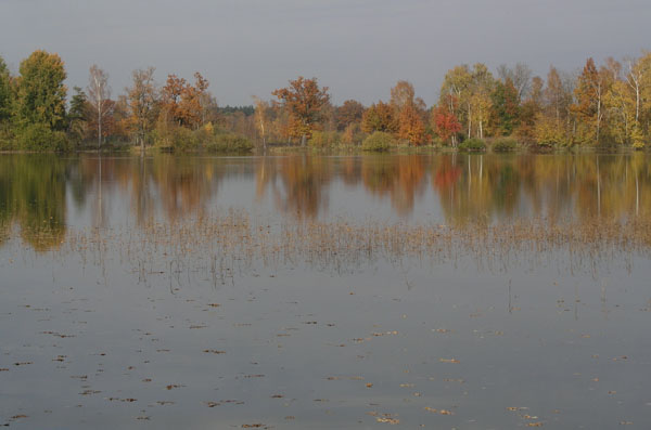 luznice_06_06