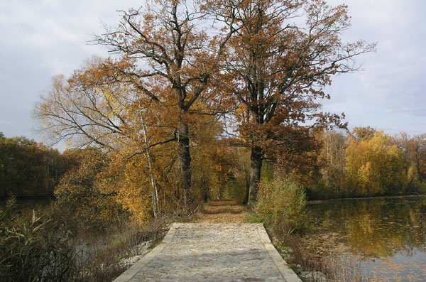 luznice_06_07