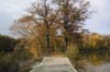 luznice_06_07
