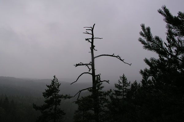 popkurz_05_22