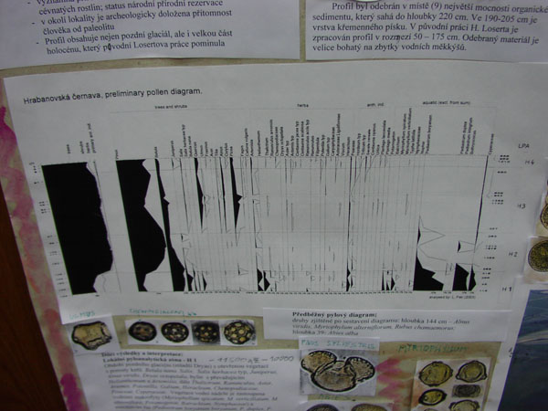 postery_05