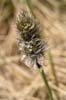 vegetace_06_54