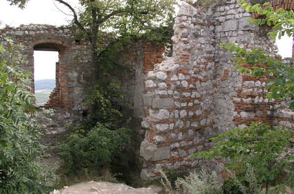 vrbka_13