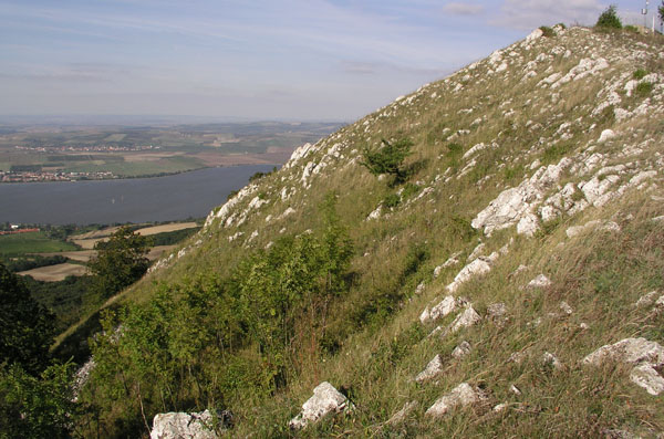 vrbka_16