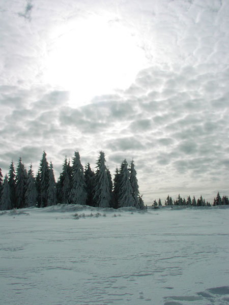 zk_04_23