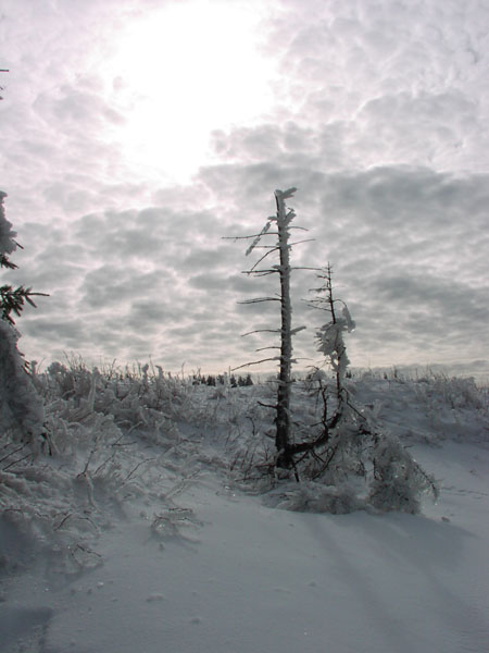 zk_04_24