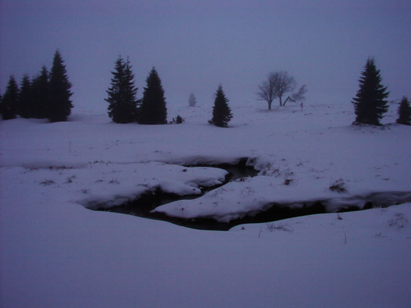 zk_04_28